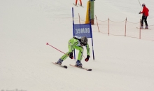 Sezona 2012/2013